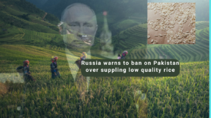 Read more about the article Russia wants to ban Pakistani’s rice over exporting low quality rice